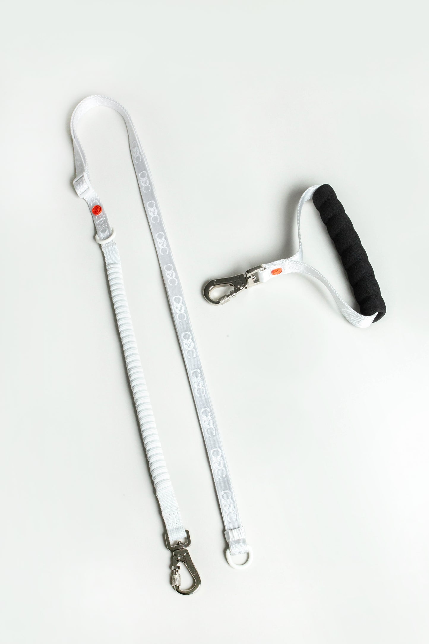 Bungee Leash