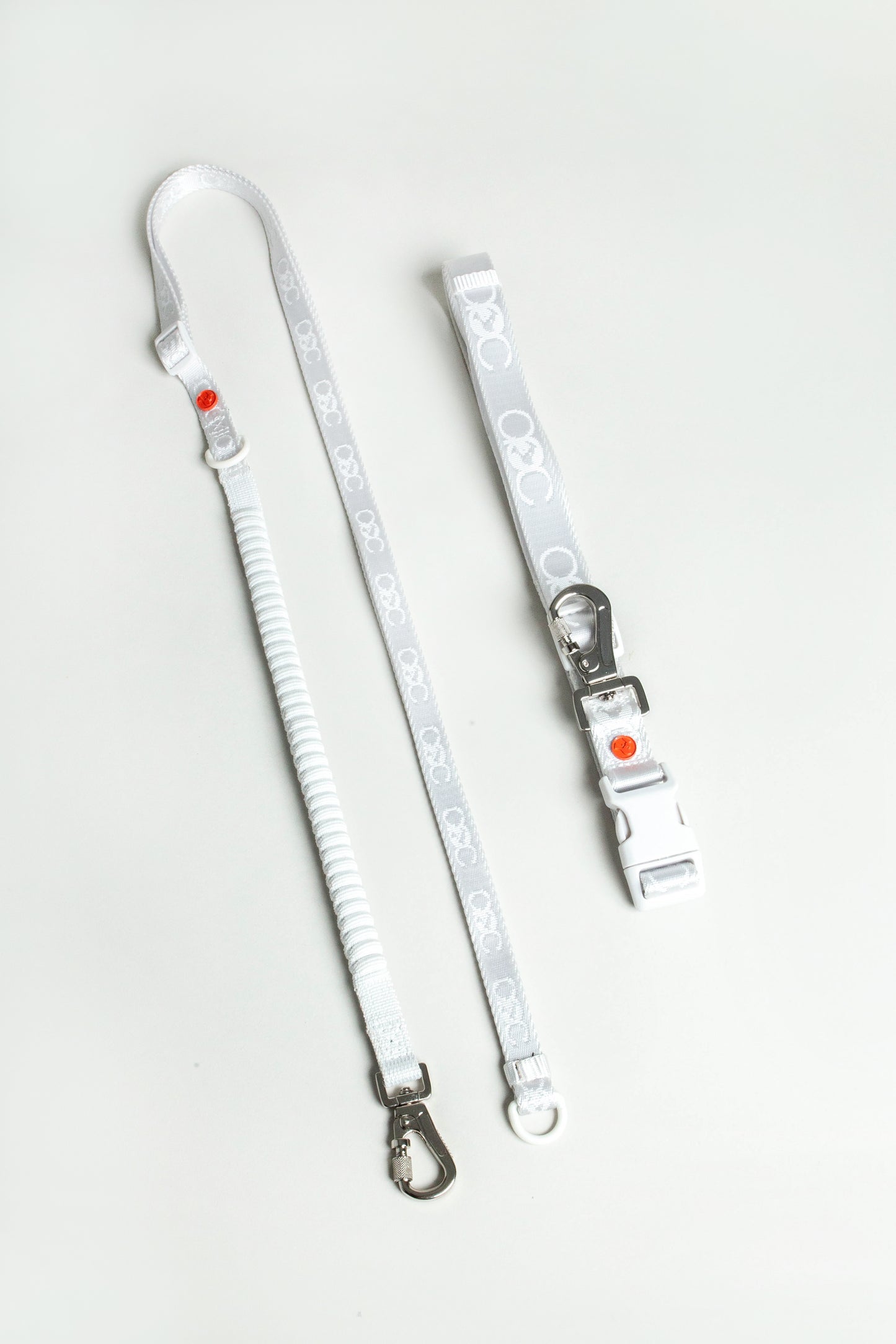 Bungee Leash