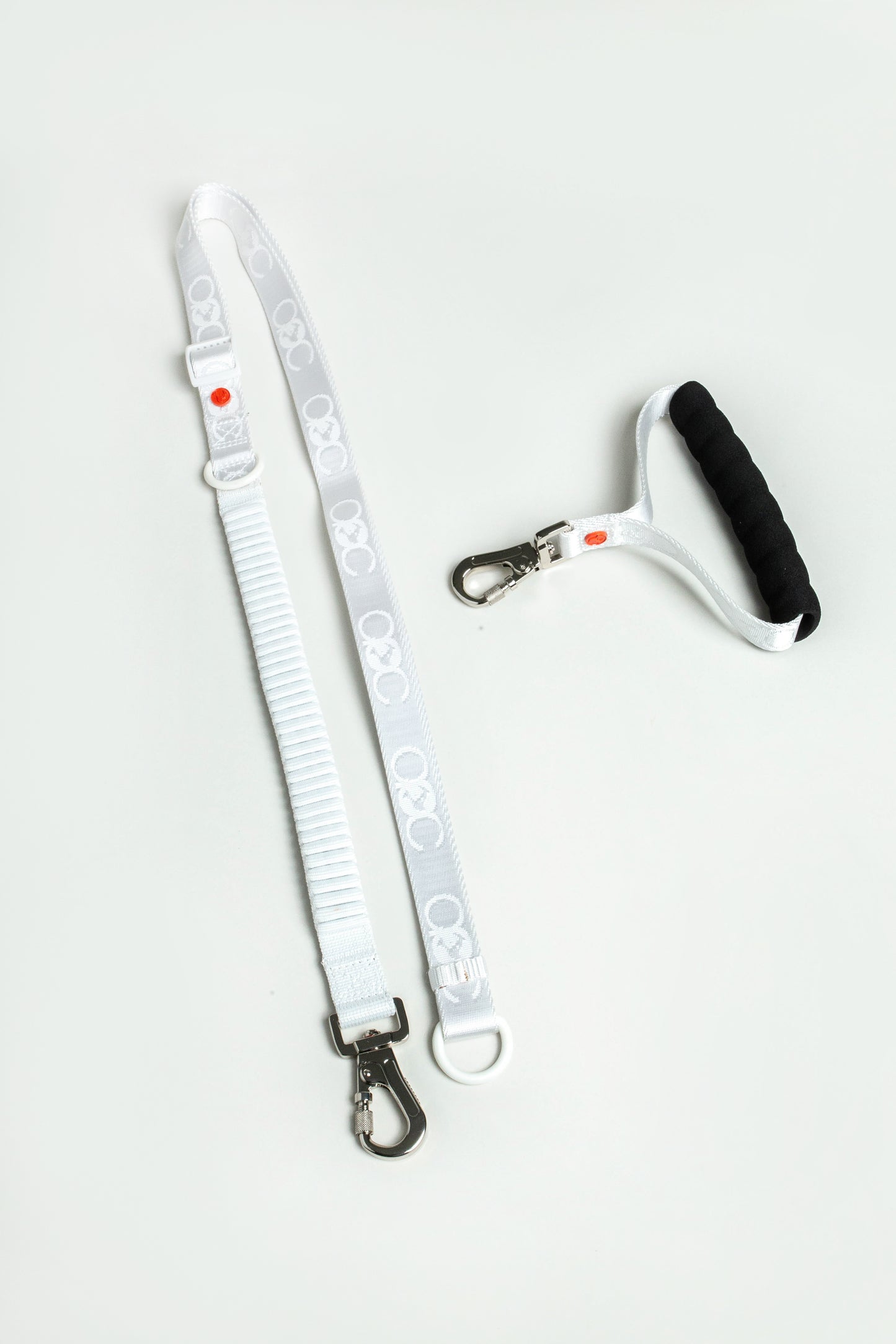 Bungee Leash