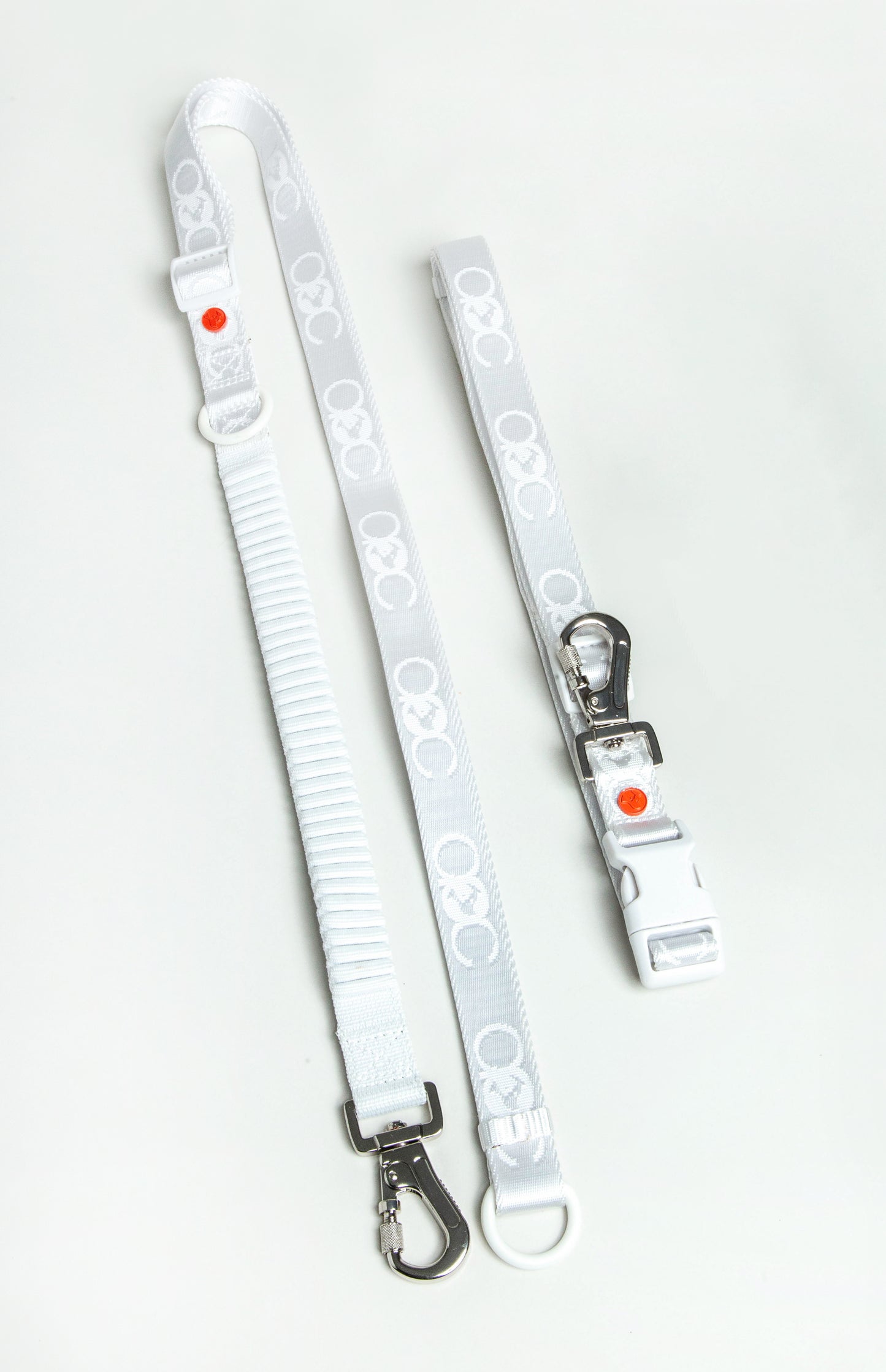 Bungee Leash