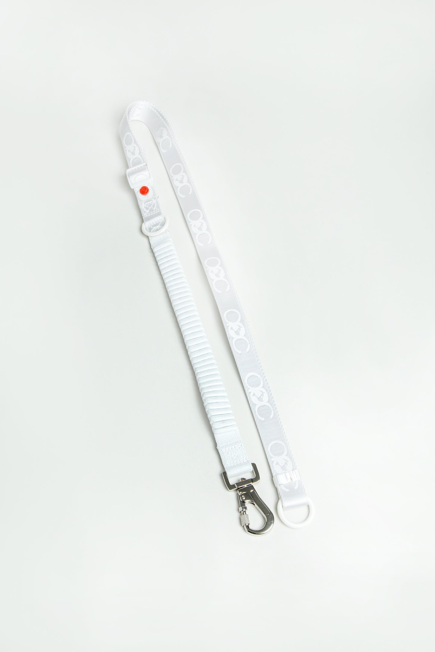 Bungee Leash