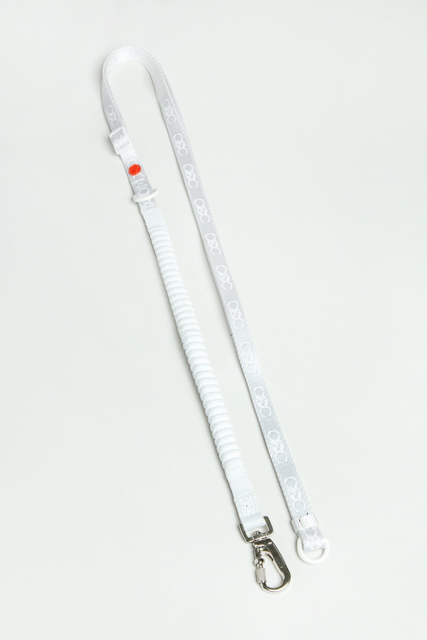 Bungee Leash