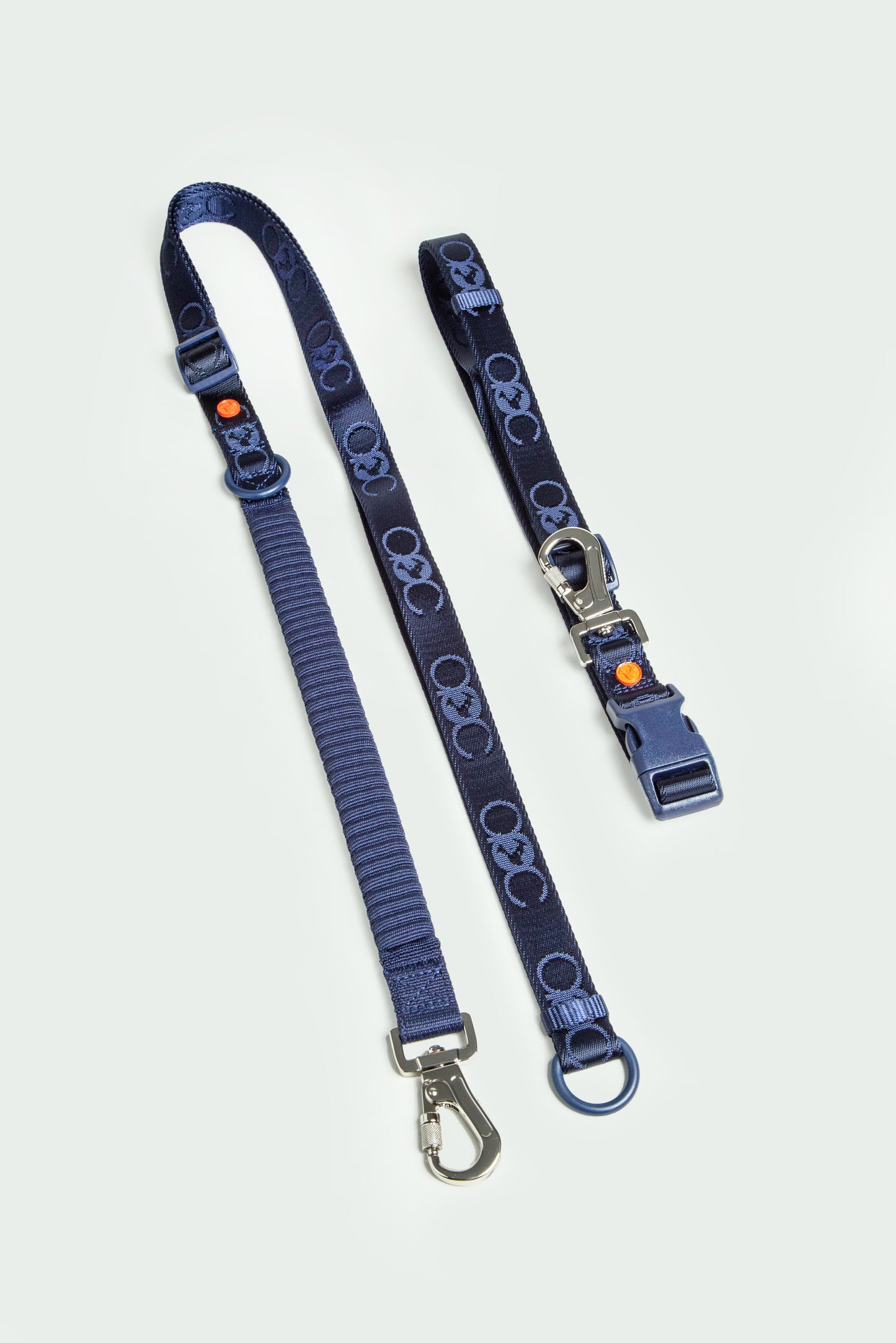 Bungee Leash