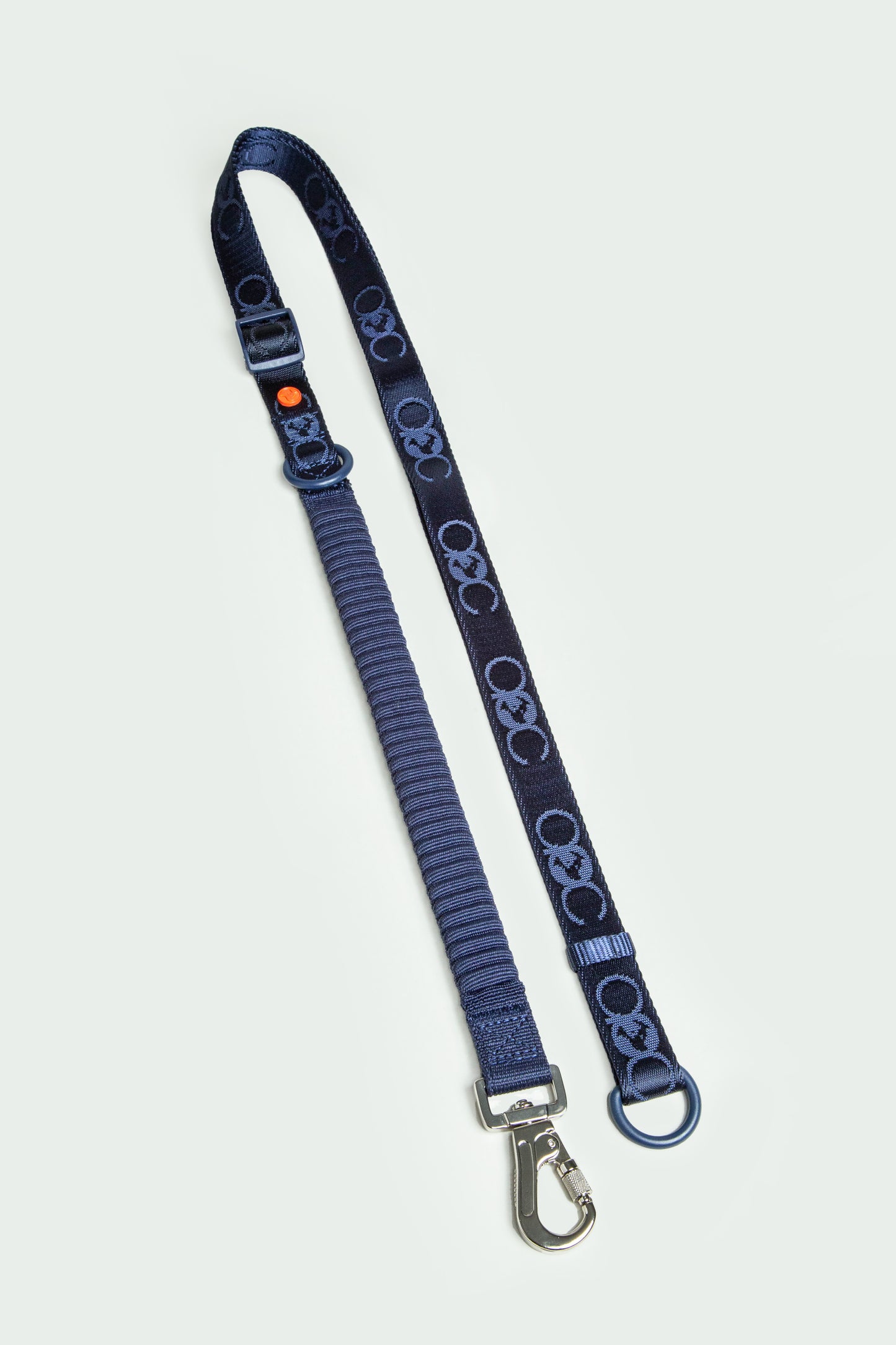 Bungee Leash