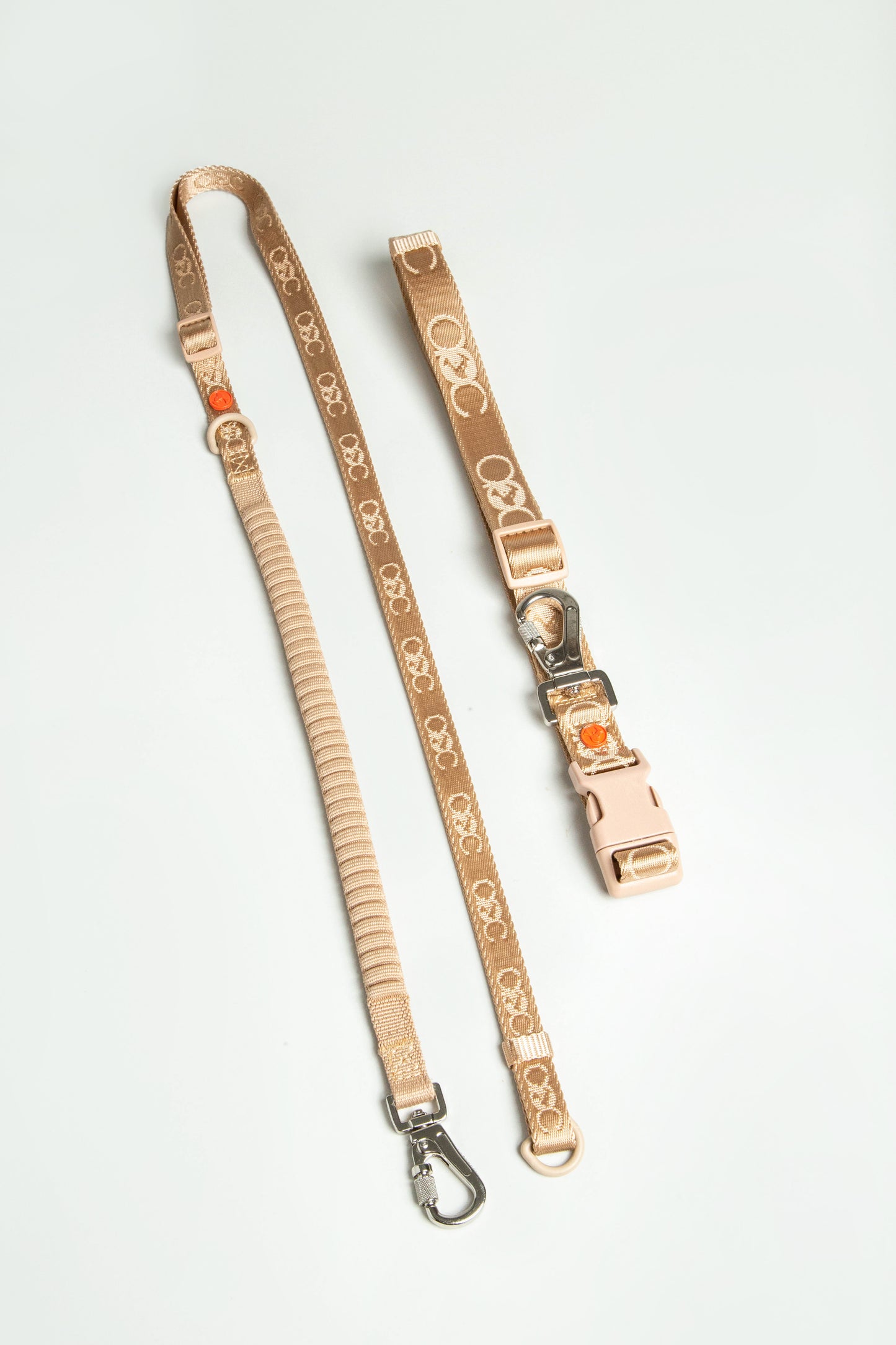 Bungee Leash