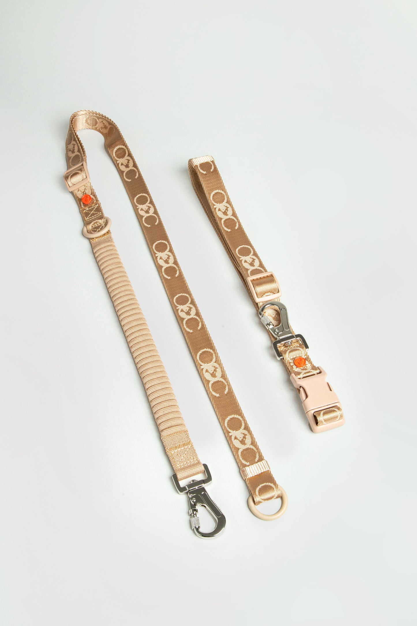 Bungee Leash