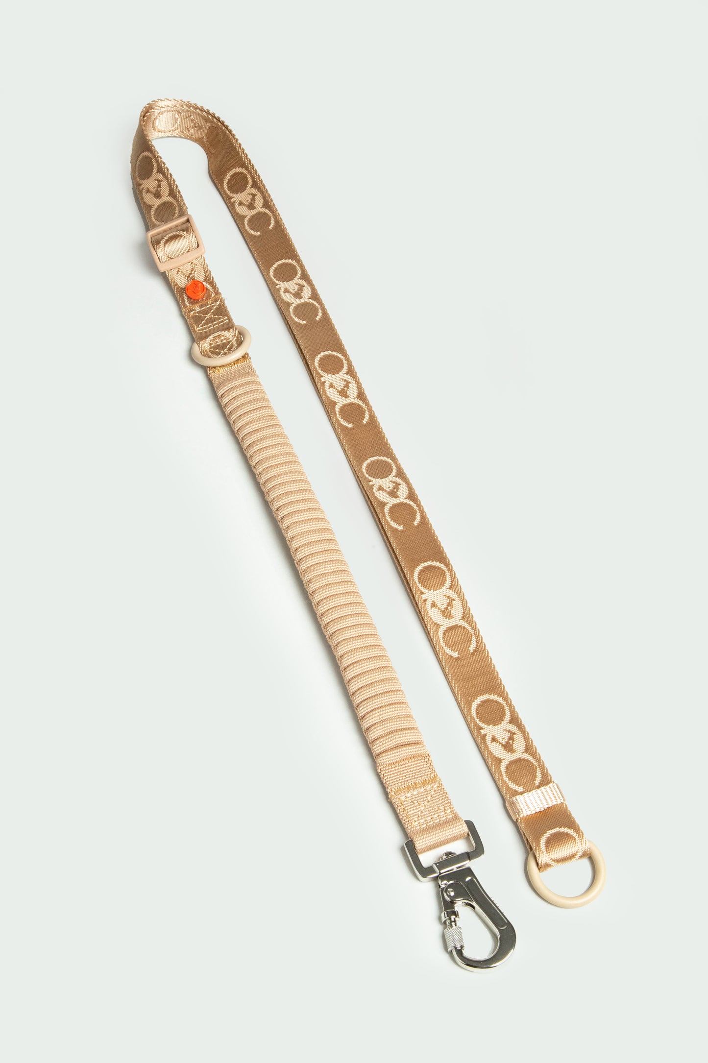 Bungee Leash