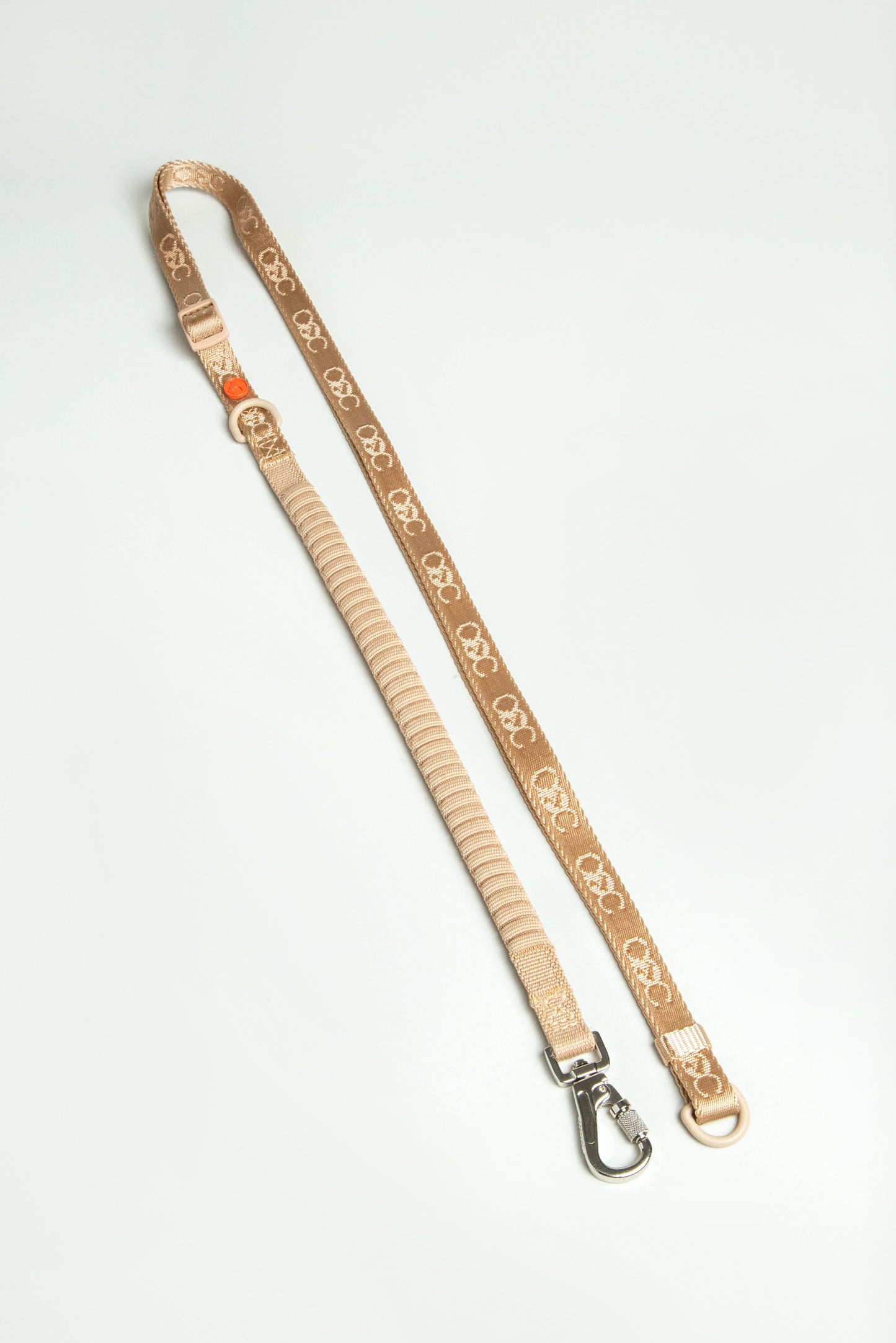 Bungee Leash