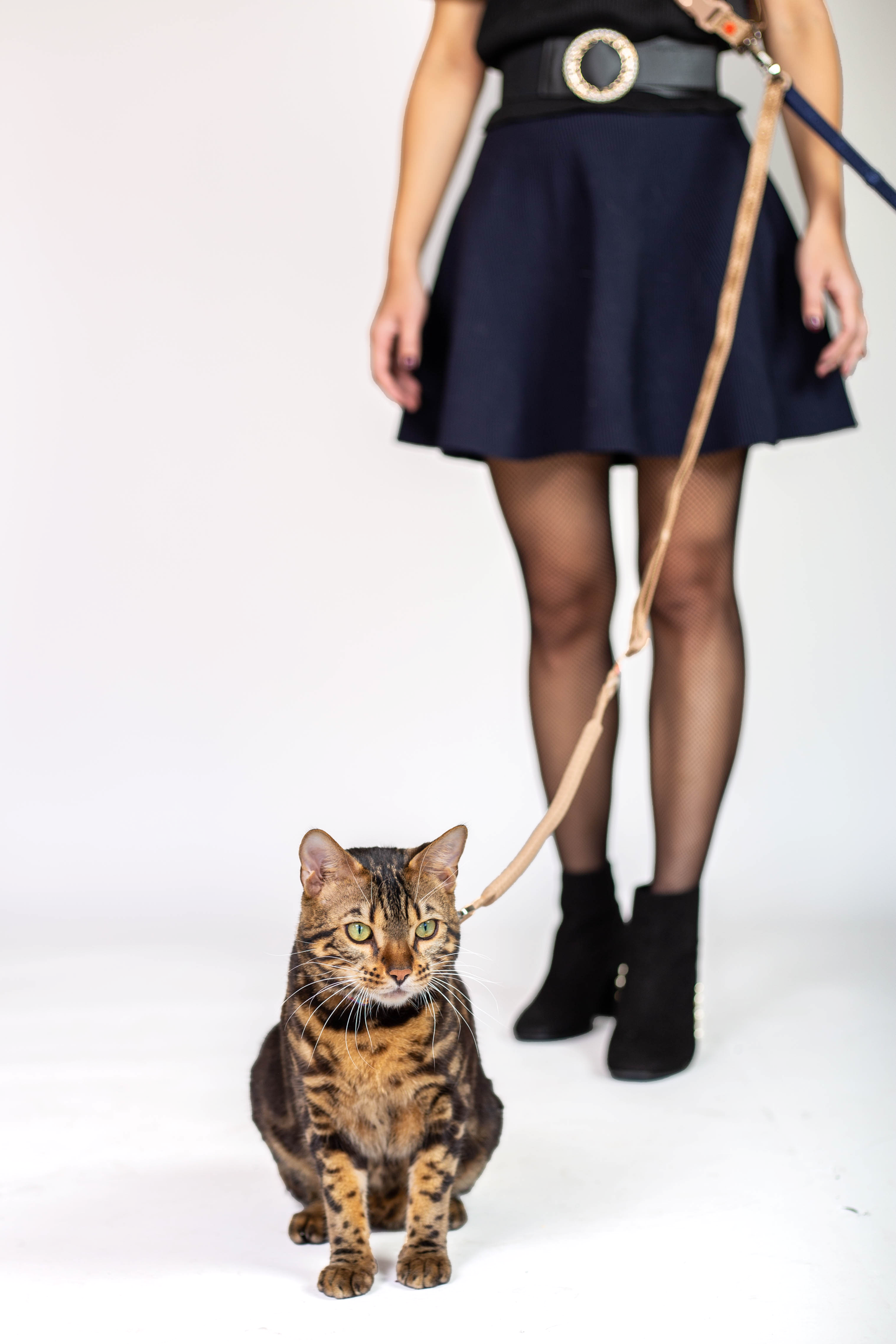 Bungee Leash Full Kit (for small pets)