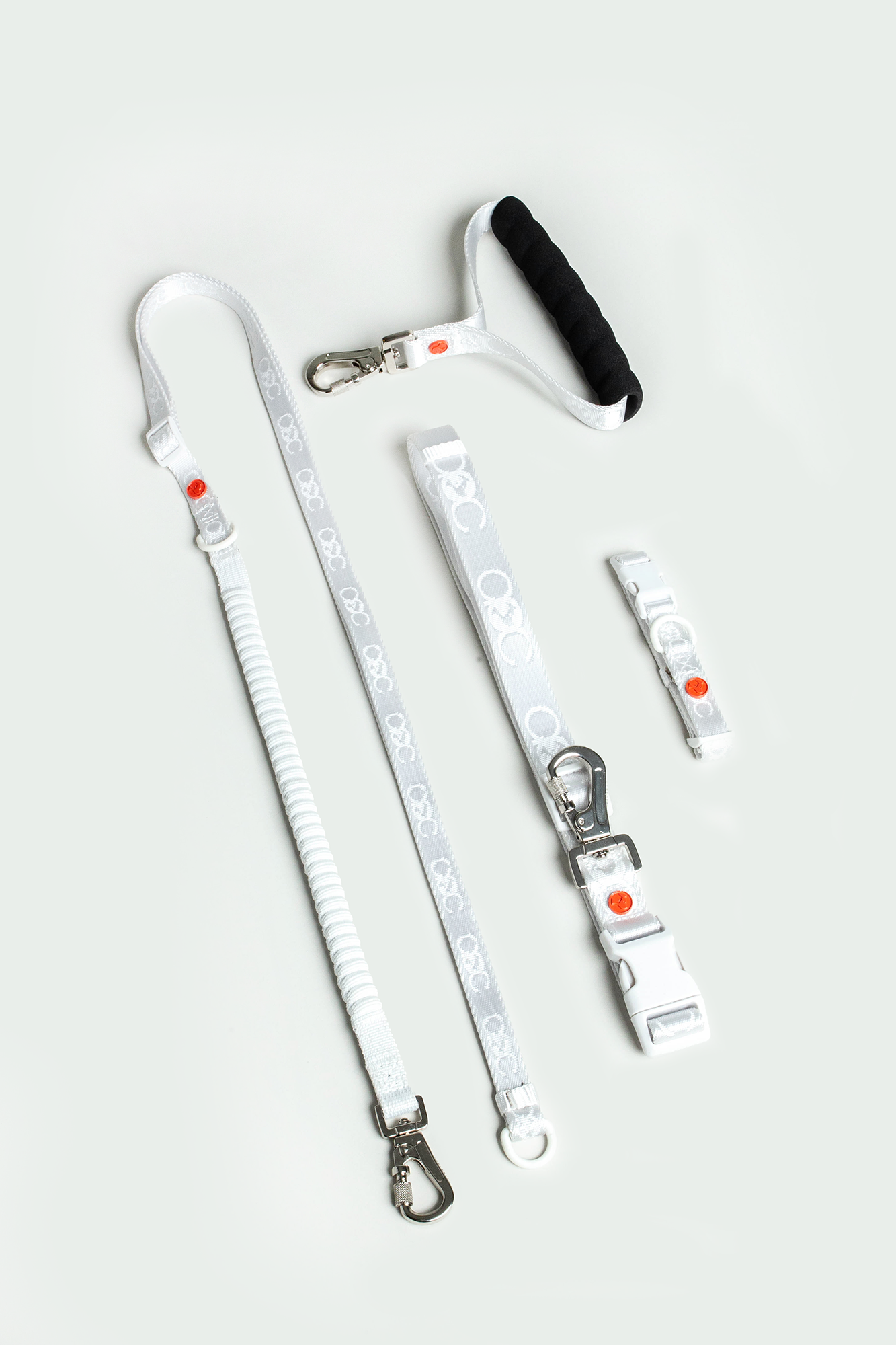 Bungee Leash Full Kit (for small pets)