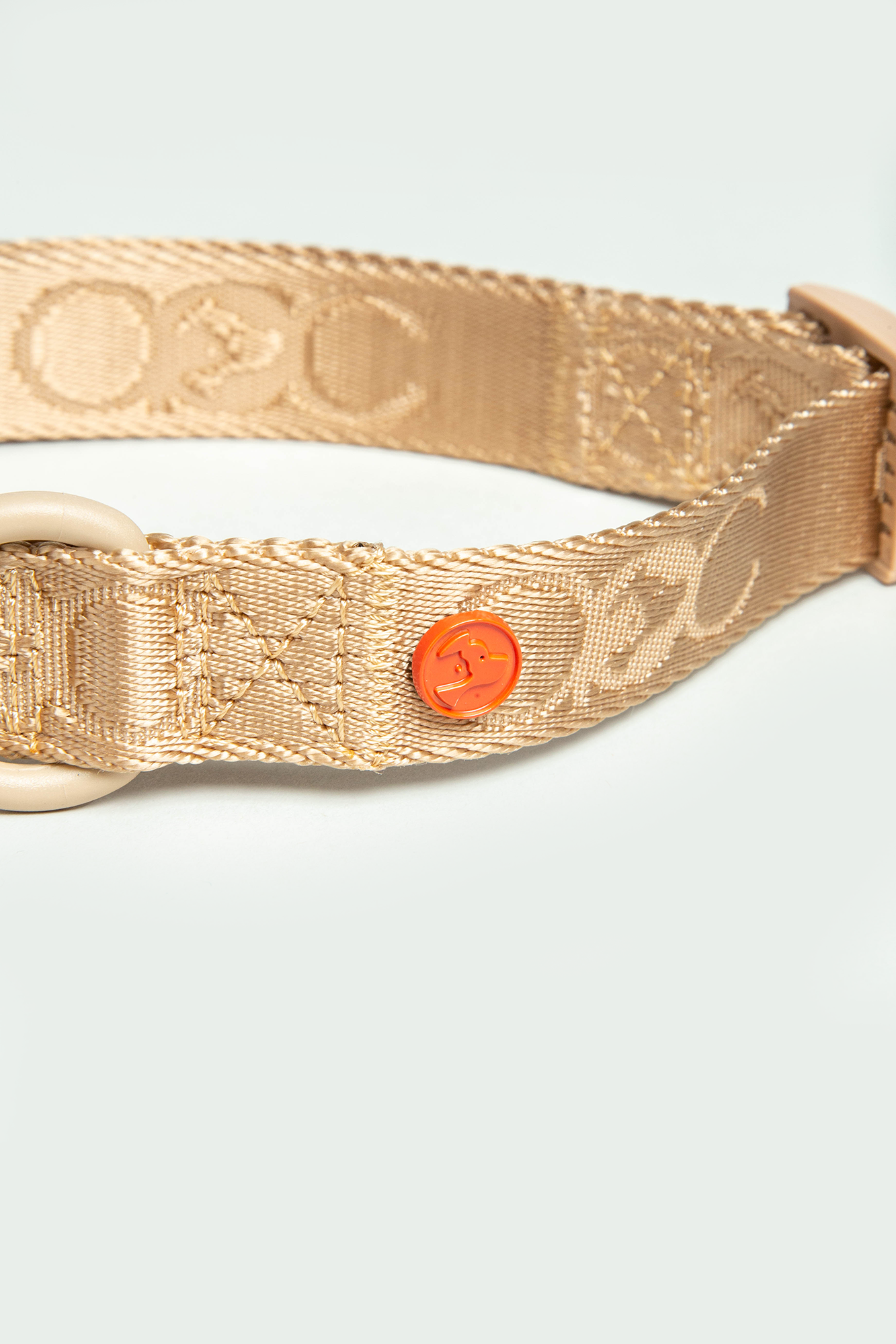Latte Collar