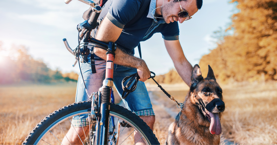 A guide to bike riding with your dog – Omni Pet Club®