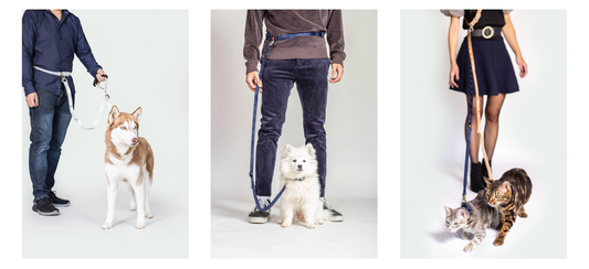 5 ways to use the OPC Leash System