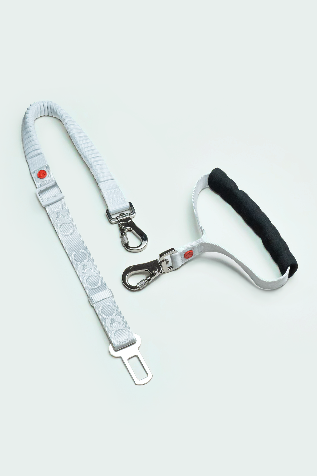 Transport Leash Kit