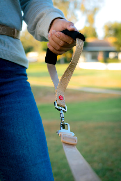 Transport Leash Kit