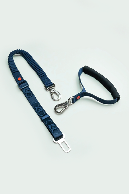 Transport Leash Kit