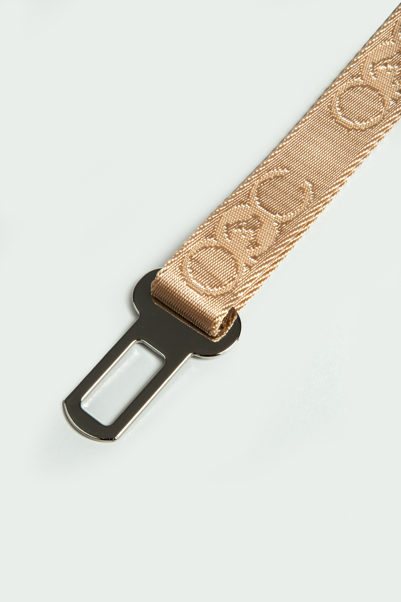 Seat Belt Leash