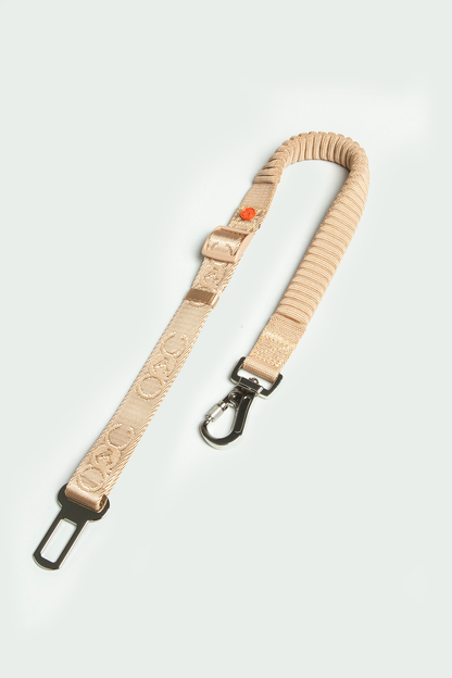 Seat Belt Leash