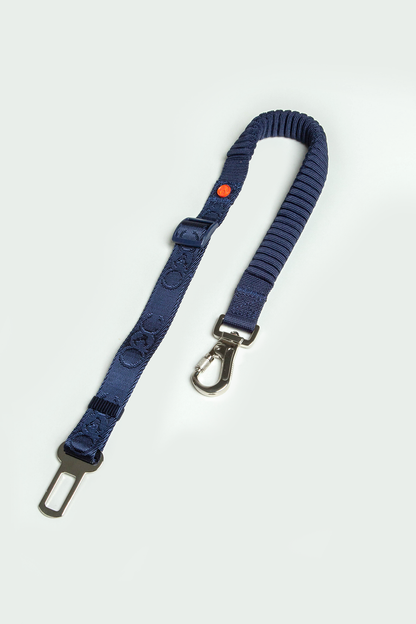 Seat Belt Leash