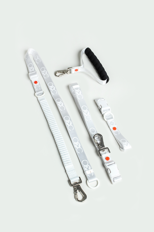 Bungee Leash Full Kit (for medium and large pets)